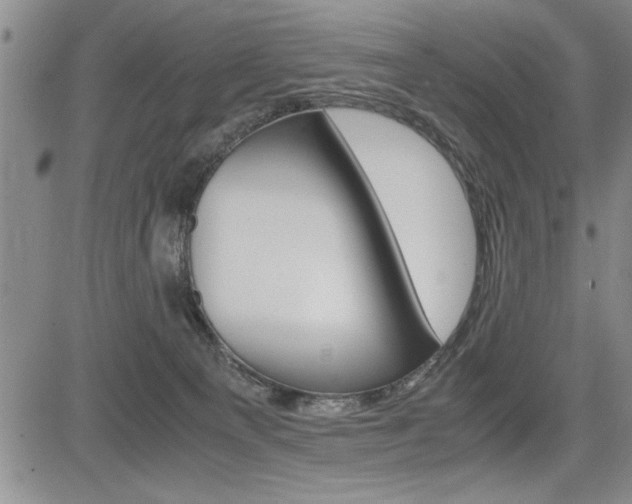 X0000085750129200703160847