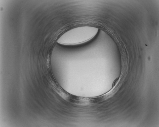 X0000085750144200703160847