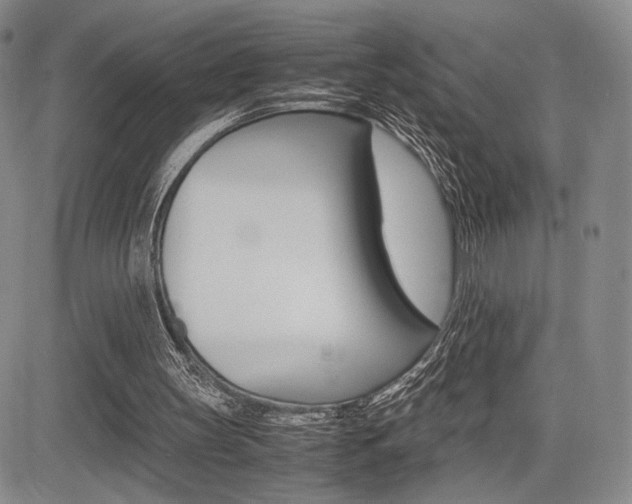 X0000085750147200703160846