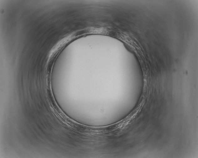 X0000085750149200703160846