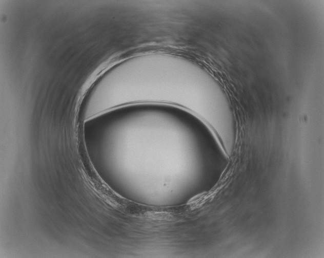 X0000085750150200703160846