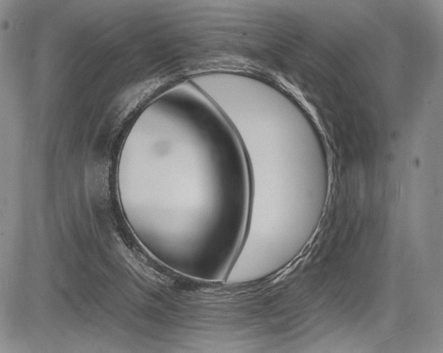 X0000085750154200703160847