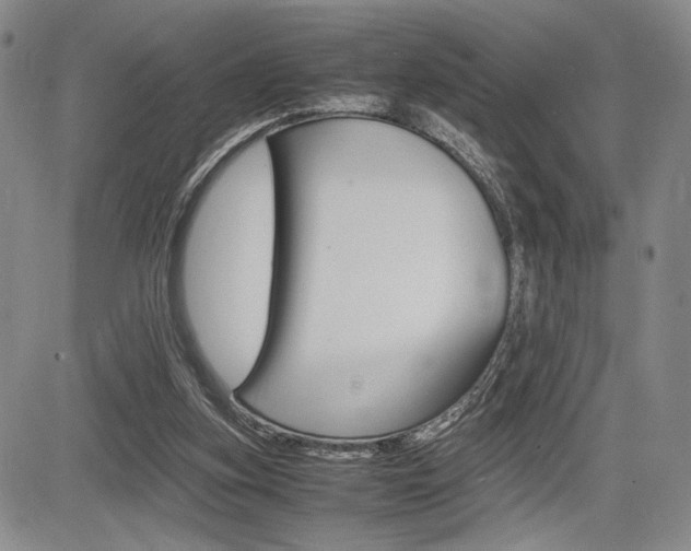 X0000085750155200703160847