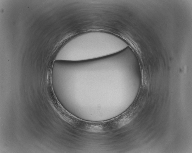 X0000085750157200703160847