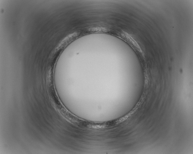 X0000085750163200703160847