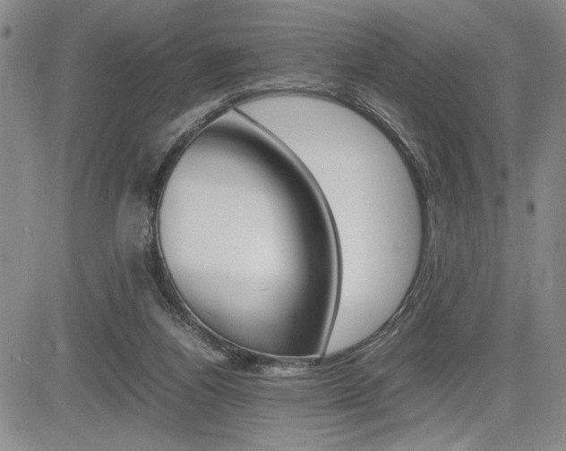 X0000085750164200703160847