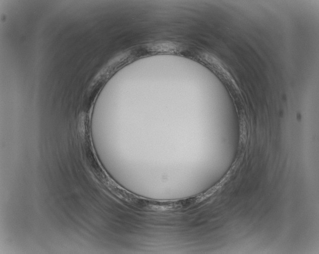 X0000085750167200703160847