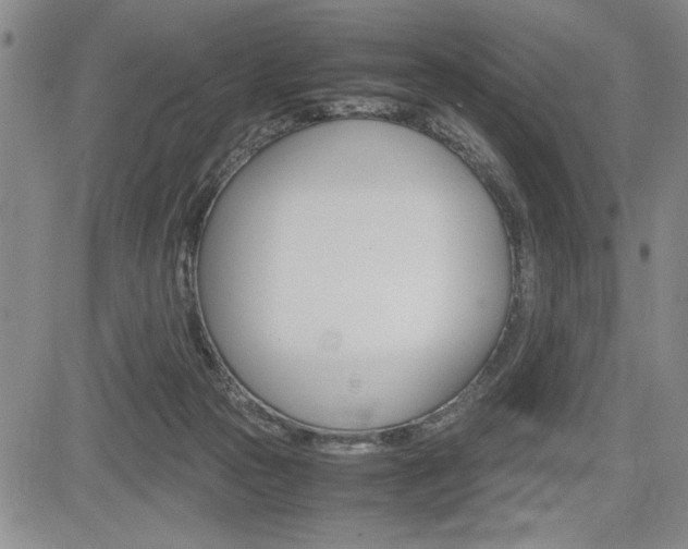X0000085750169200703160847