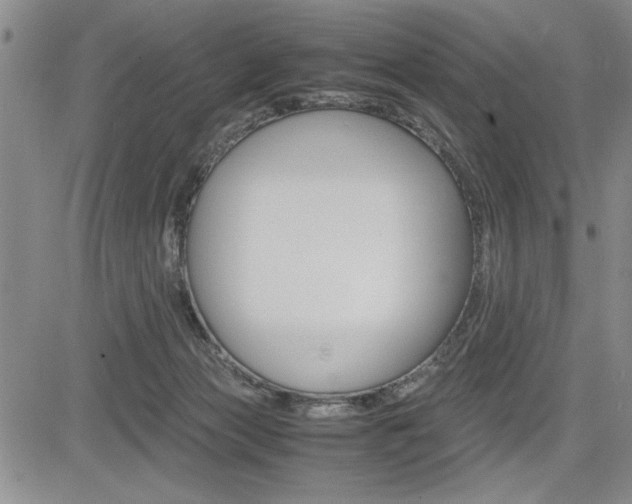 X0000085750173200703160847