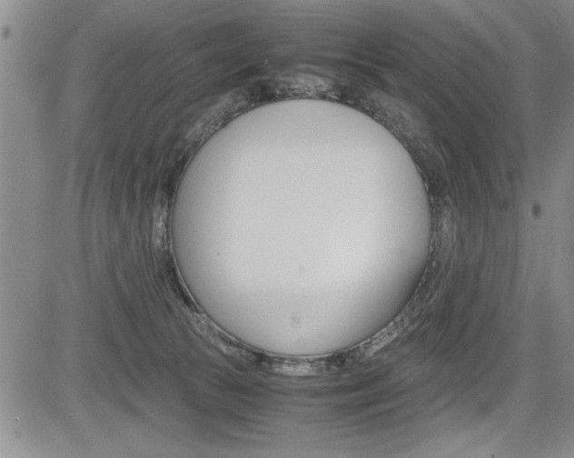 X0000085750177200703160847