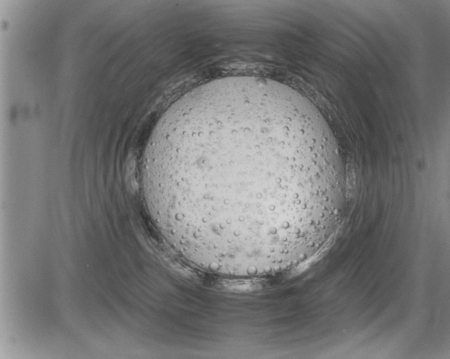 X0000085750187200703160847