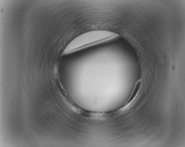 X0000085750192200703160847