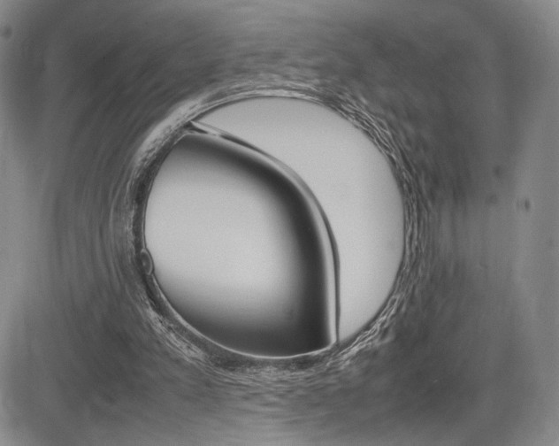 X0000085750197200703160846