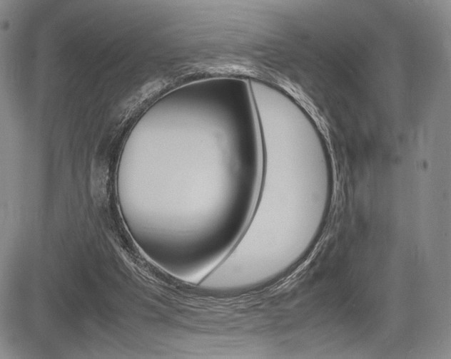 X0000085750201200703160846