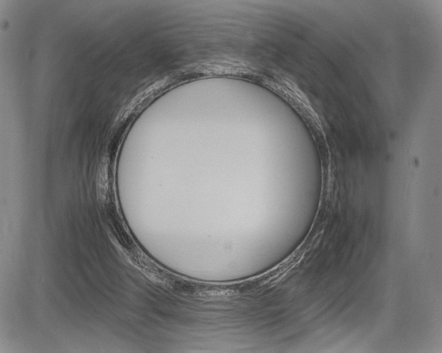 X0000085750202200703160846