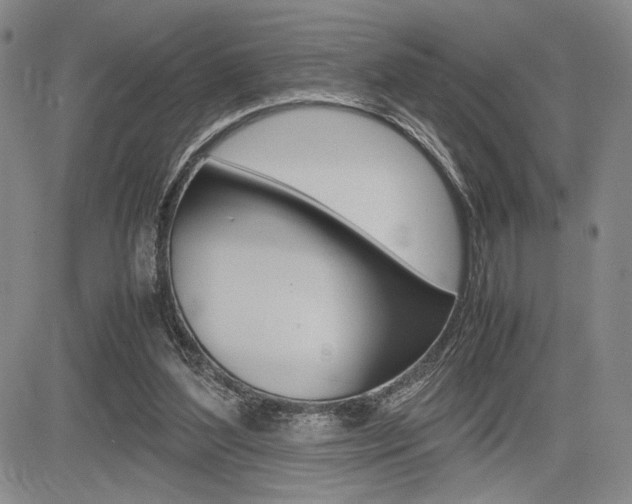 X0000085750204200703160846