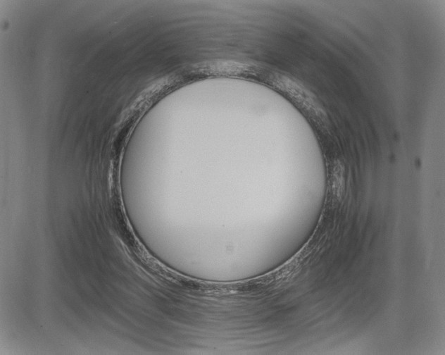 X0000085750206200703160846
