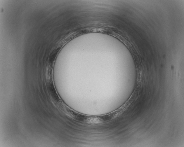 X0000085750218200703160846