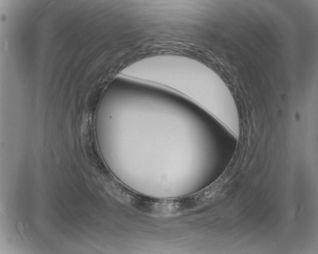 X0000085750225200703160846