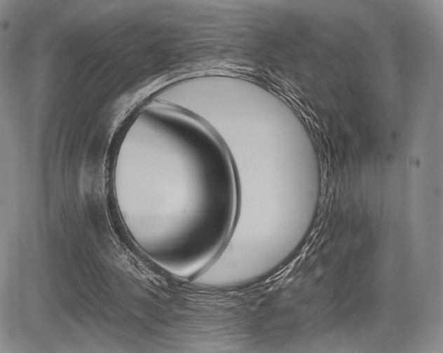 X0000085750244200703160845