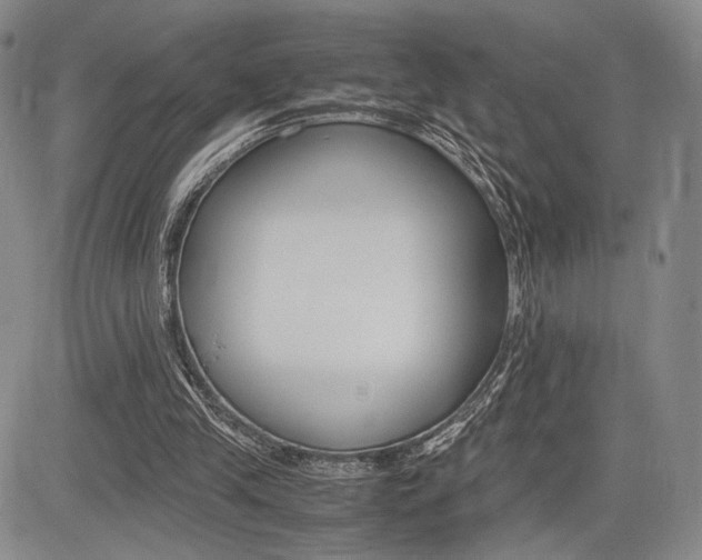 X0000085750245200703160845