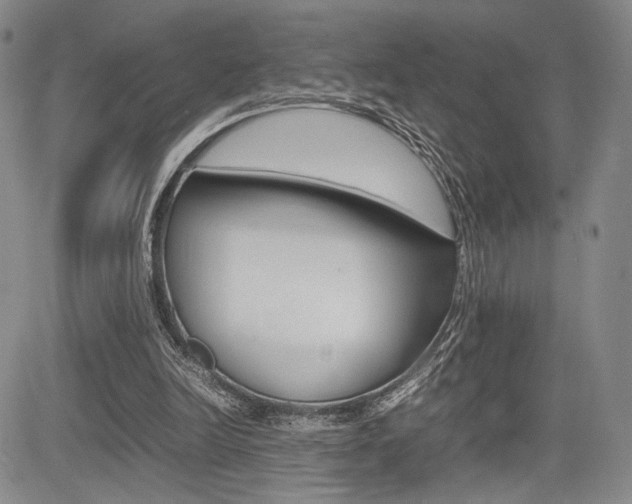 X0000085750246200703160845