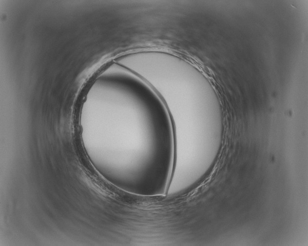 X0000085750248200703160845