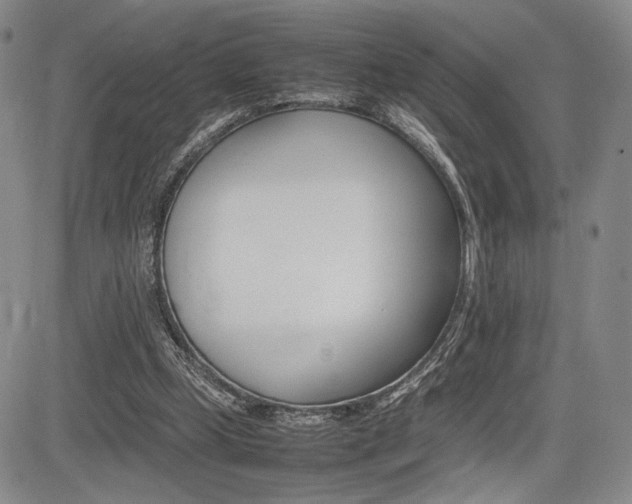 X0000085750249200703160845