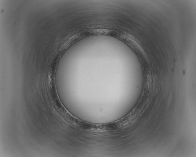 X0000085750259200703160845