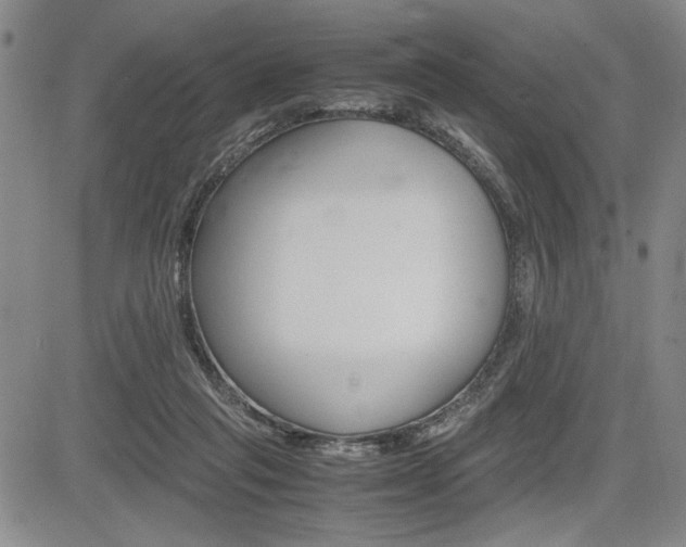 X0000085750261200703160845