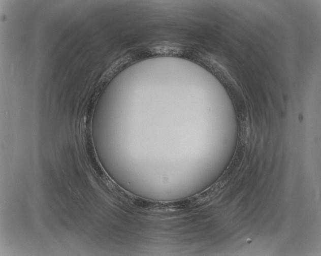 X0000085750263200703160845