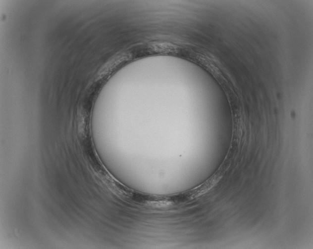 X0000085750266200703160845