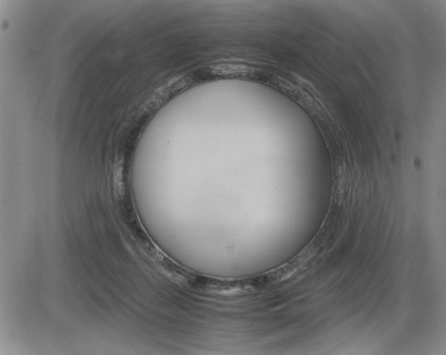 X0000085750267200703160845