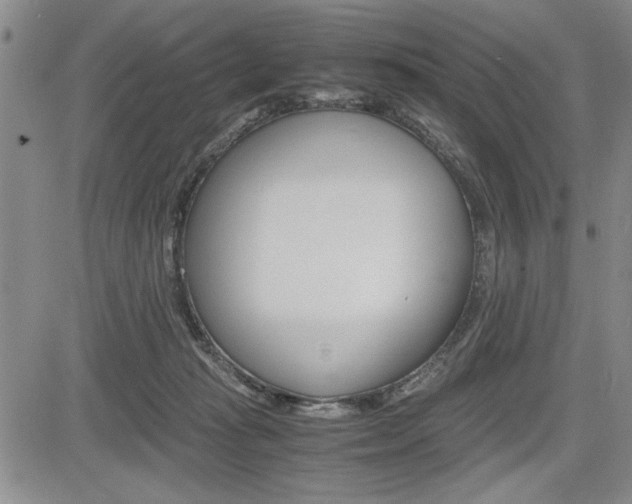 X0000085750269200703160845