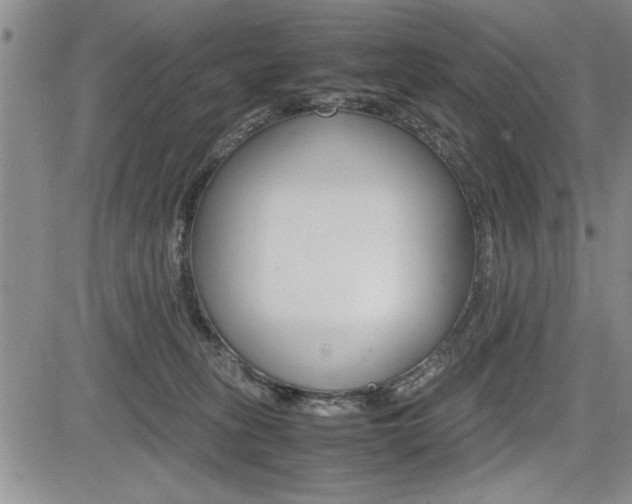 X0000085750275200703160845