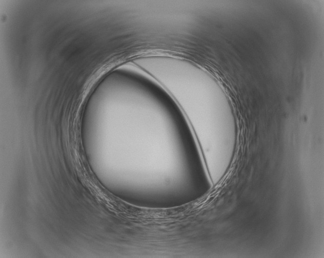 X0000085750289200703160845