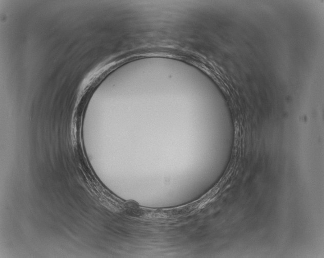 X0000085750294200703160845