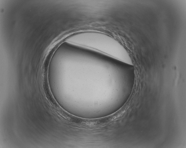 X0000085750295200703160845