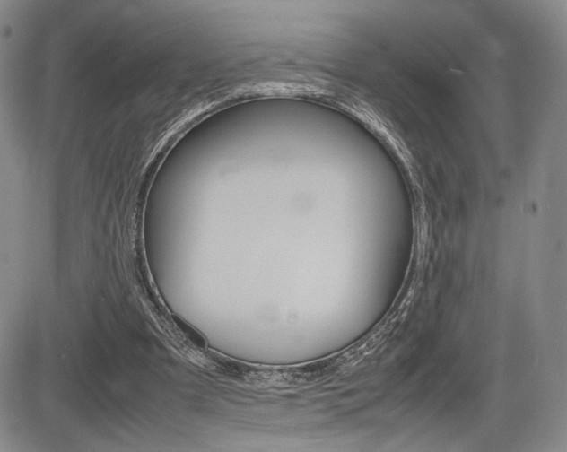 X0000085750297200703160845