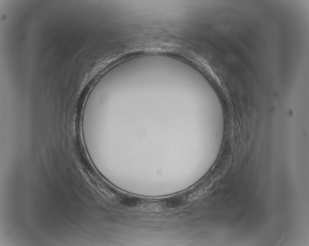 X0000085750299200703160845
