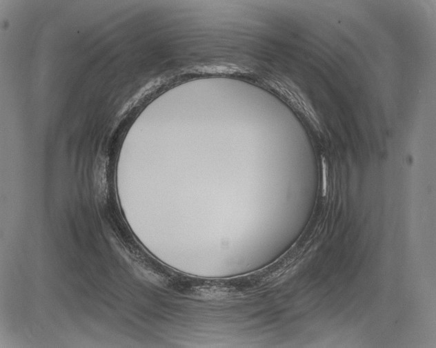 X0000085750300200703160845