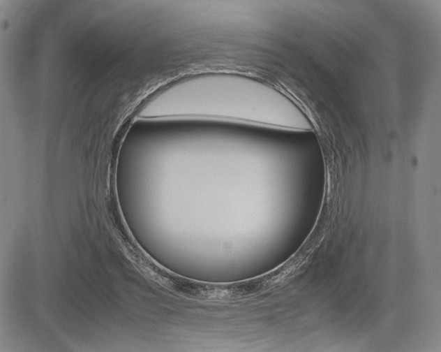 X0000085750301200703160845