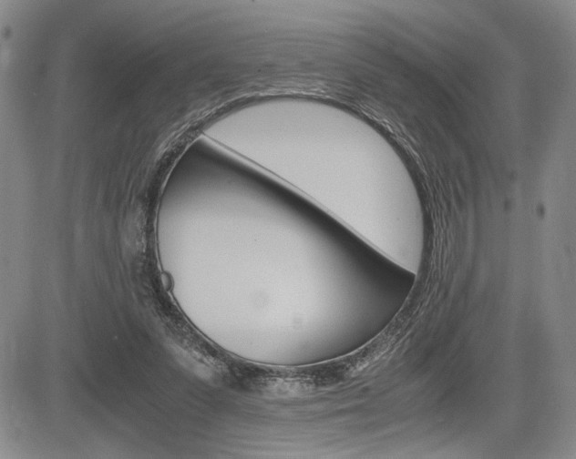 X0000085750303200703160844