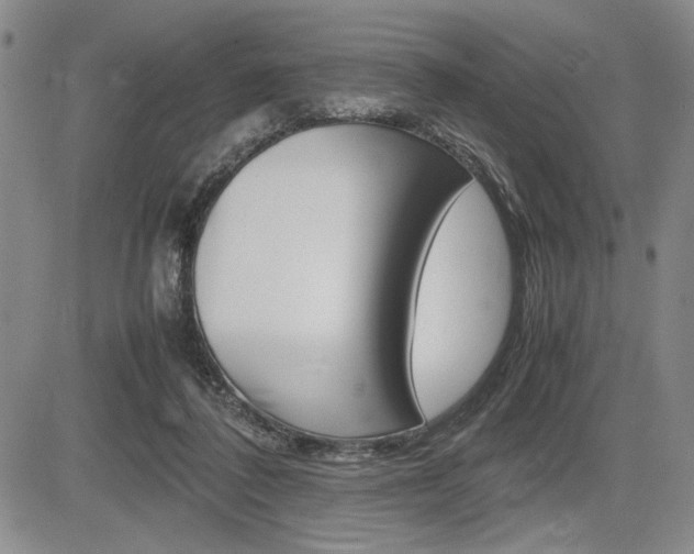 X0000085750308200703160844