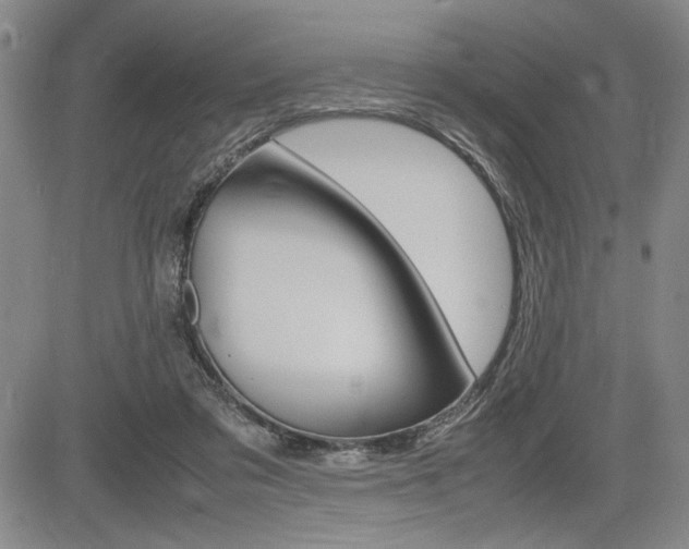 X0000085750309200703160844