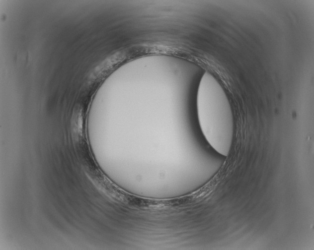 X0000085750310200703160844