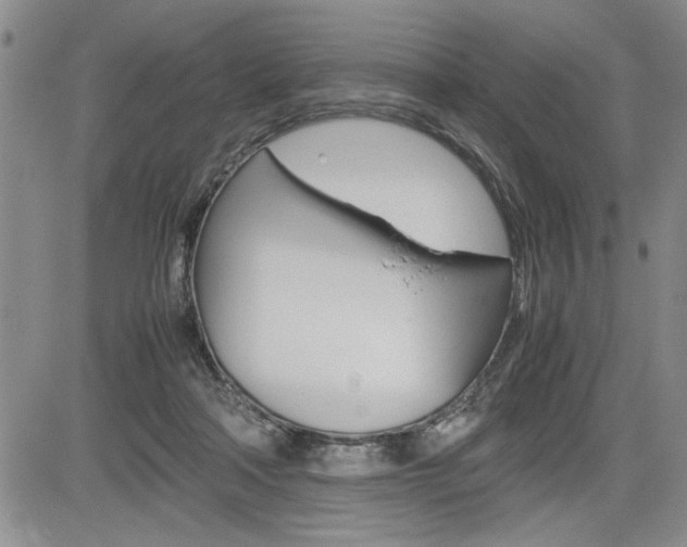 X0000085750314200703160844