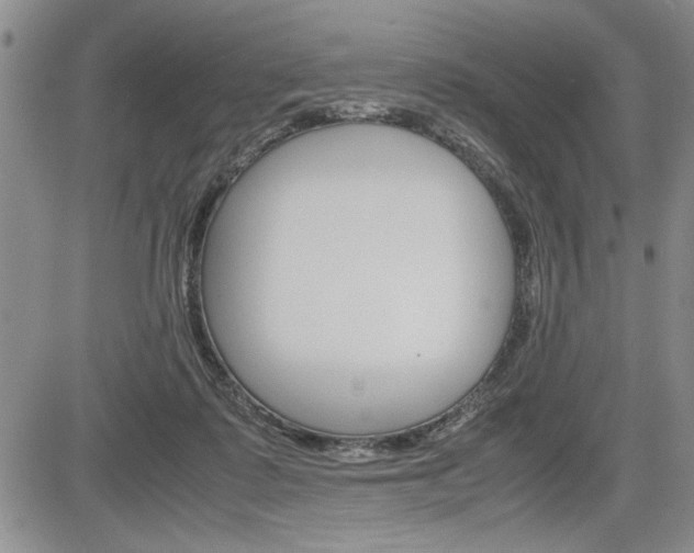 X0000085750315200703160844