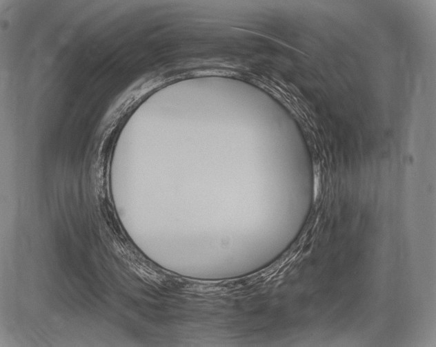 X0000085750339200703160843