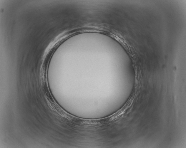 X0000085750343200703160843